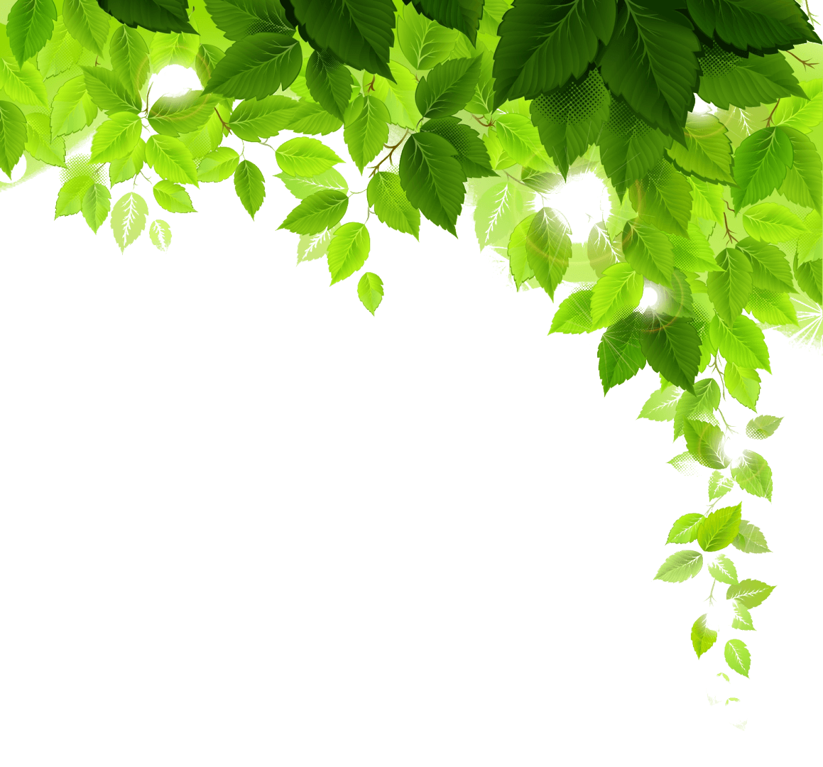 Sed commodo quibusdam dolor est fuga Placeat nostrum blanditiis est consequatur